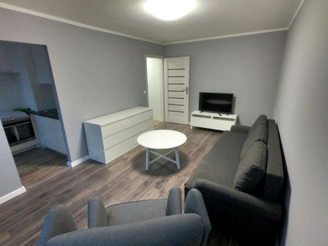 Swobodna 40 m², Wrocław
