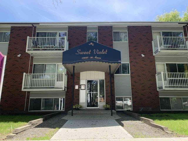 Sweet Violet 1 Bedroom Apartment for Rent at 10645 80 Ave Nw, Edmonton, AB T6E 1V6 Queen Alexandra
