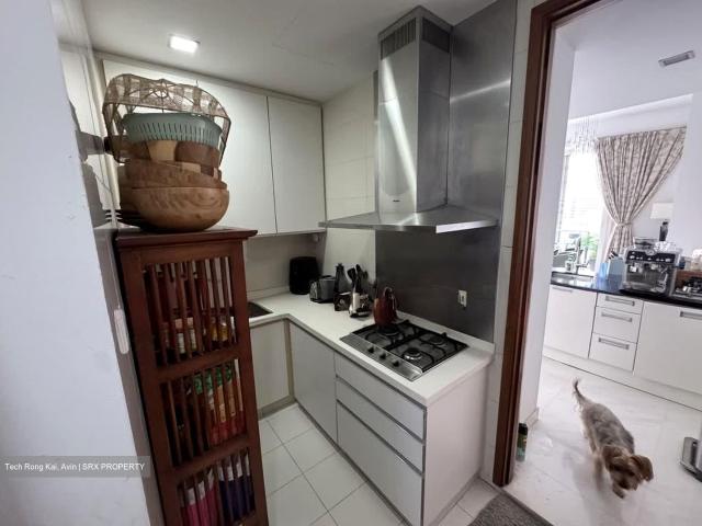 St. Thomas Suites D9, Condominium
