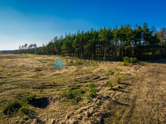 Stężyca, 1 007 m2