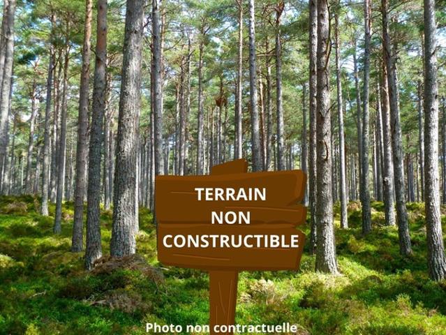 ST MARIENS TERRAIN NON CONSTRUCTIBLE