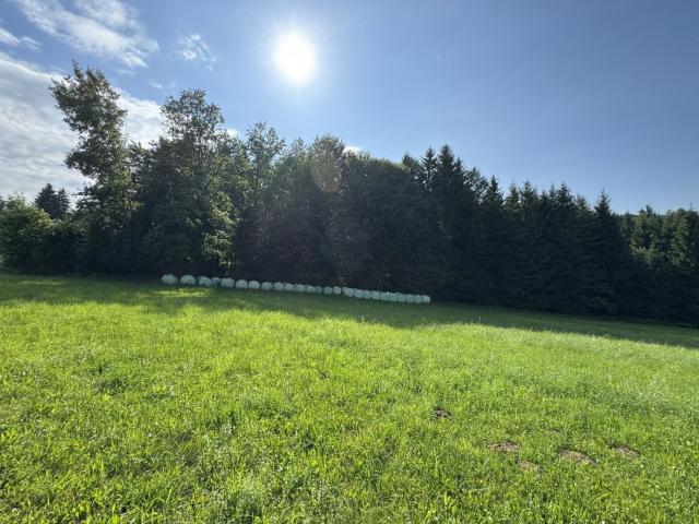 St. Oswald b. Plankenwarth! Herrliches Grundstück in ruhiger Sonnenlage!