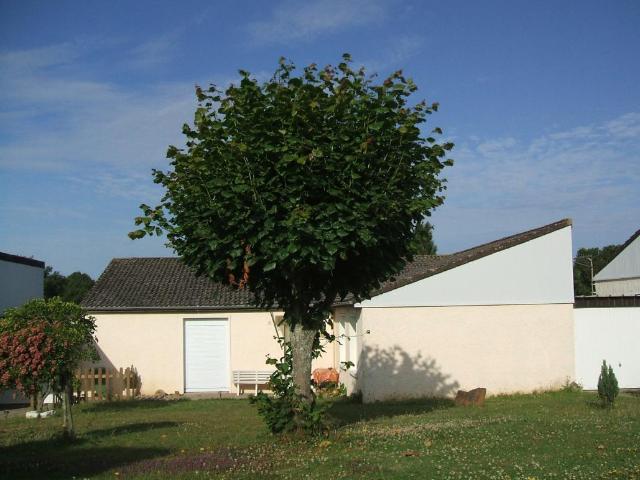 ST SAUVEUR MAISON T3