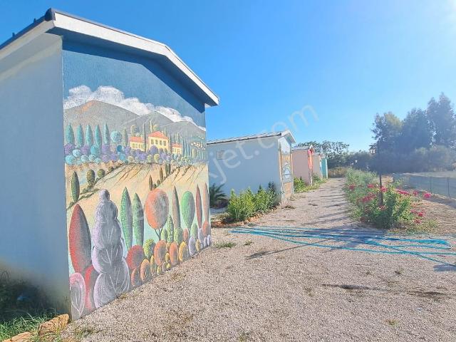 Stop’tan Foça’da 1+1 Bungalov Eşyalı Kiralık Elektrik Ve Su Ücretsiz