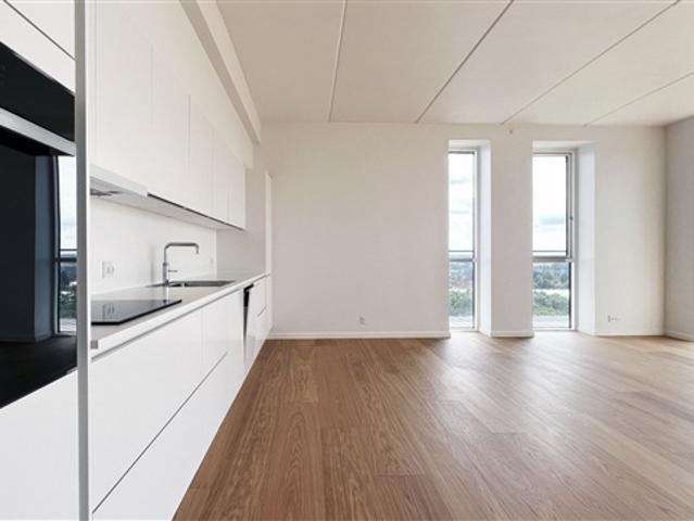 Stor penthouselejlighed, Viborg