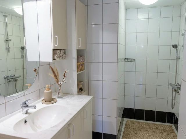 Stor taglejlighed centralt i Aalborg