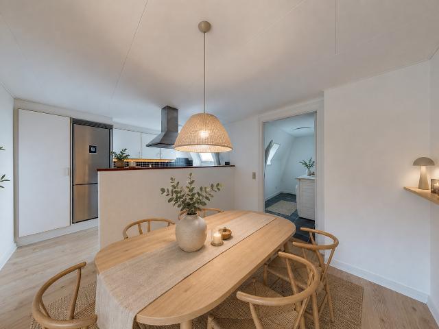 Stor taglejlighed centralt i Aalborg