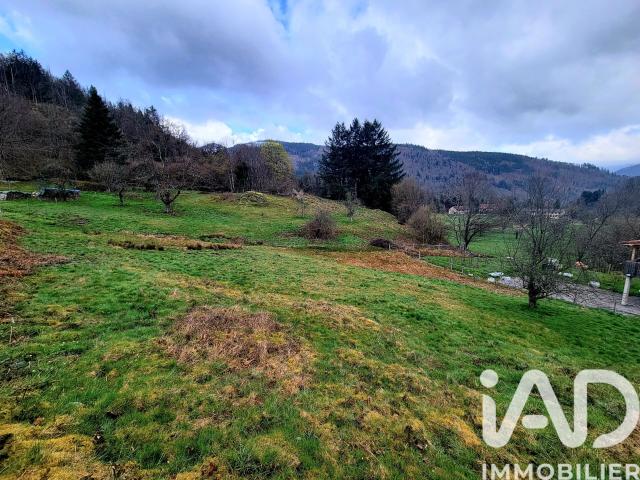Storckensohn Vente Terrain 68