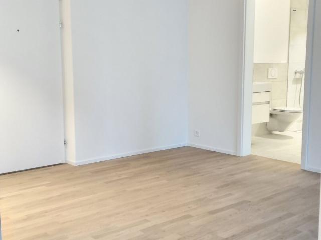Storey apartment with 2.5 rooms for rent in Zollbrück 54 m² | dreamo. Ch