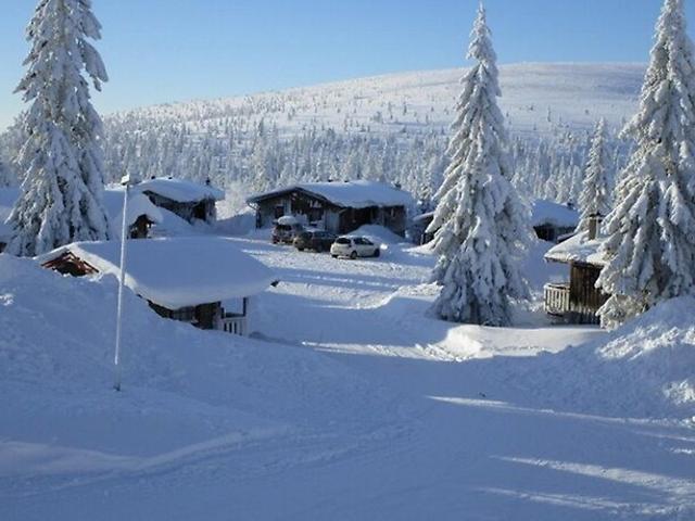 Storfjällsbyn. Vecka 23 och 49