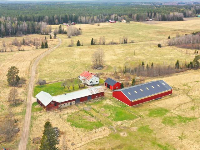 Stormursvägen 29