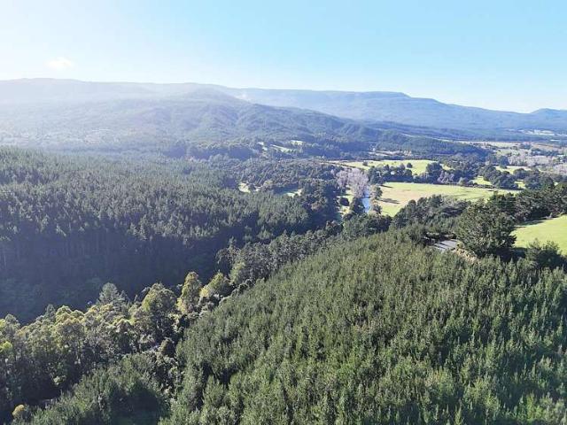 State Highway 12, Kaihu, Kaipara