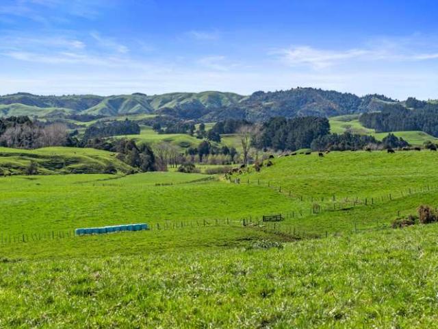 State Highway 23, Raglan, Waikato