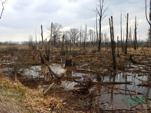 Stawowa 78 360 m², Goczałkowice Zdrój