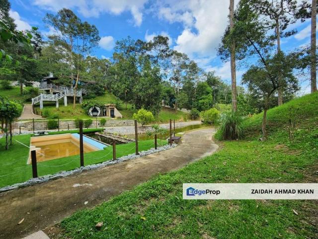 Staycation Resort Negeri Sembilan For Sale in Jelebu with more than 50+ Durian Tree