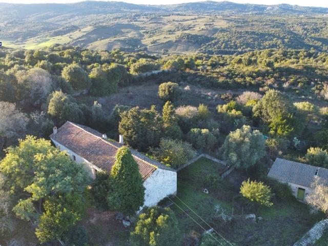 Stazzo da ristrutturare con terreno – Luogosanto 100m² Luogosanto