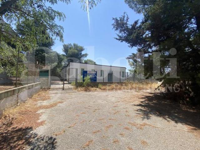 Stabile/Palazzo Casamassima. Rif.: Cod. rif 3334064VRG
