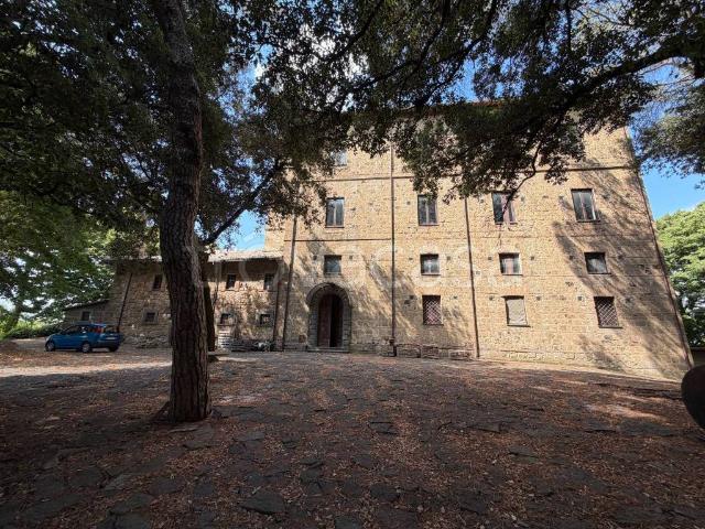 Stabile/palazzo in vendita a Civitella d'Agliano strada di Santa Maria