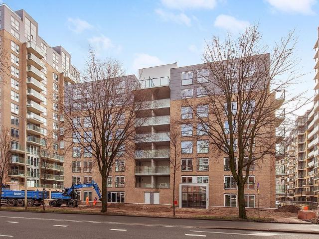 Stadhoudersplantsoen 236