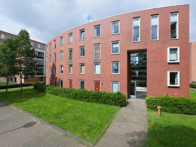 Stads wonen op een groene plek