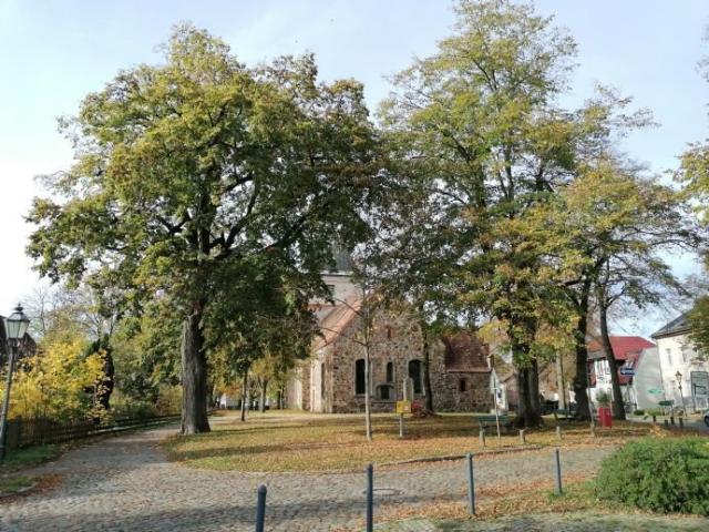 Stadtnah im Grünen neues Doppelhausprojekt in Schönerlinde