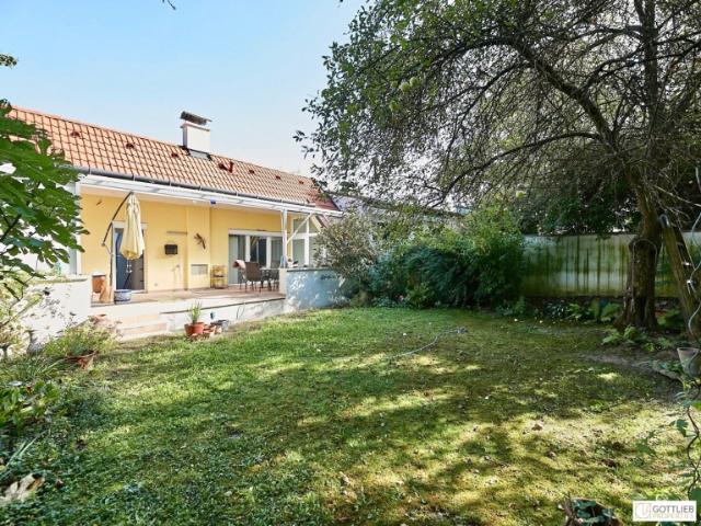 Stadtgrenze von Wien! Elegantes Einfamilienhaus mit uneinsehbarem Garten, restauriertem Weinkeller und Doppelgarage