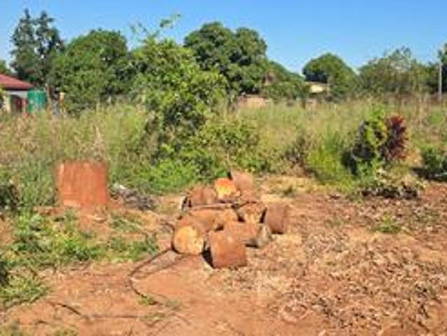 stand for sales at thohoyandou n muledane