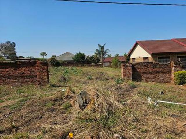 stand on the market at thohoyandou j
