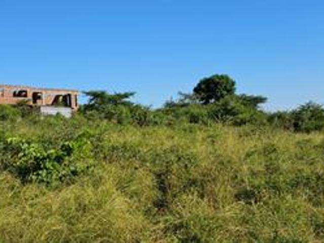 stand on the market at thohoyandou s
