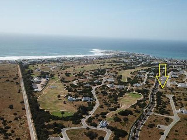 stand on the market in shelley point