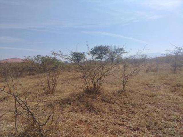 stand on the market – lebowakgomo unit h