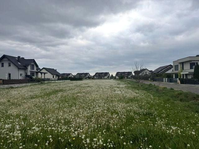 Stanisława Wyspiańskiego 666 m², Opole