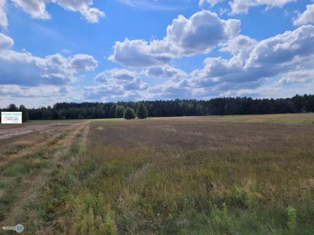 Stanowiska, 8000 m² Działka