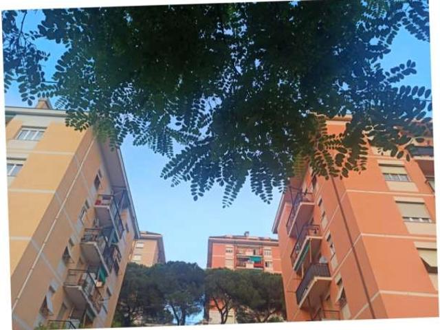 Stanza in appartamento condiviso in affitto a Montesignano