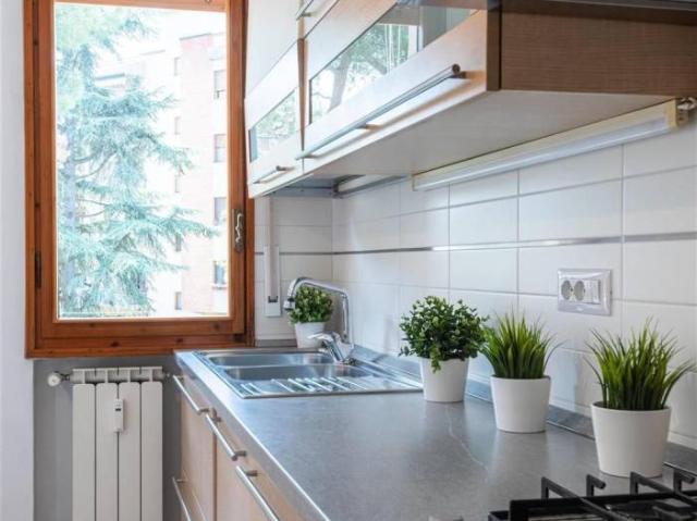 Stanza in affitto in appartamento via cecioni, Firenze