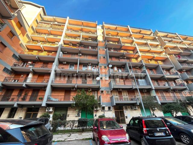 Stanza in affitto in appartamento via Celestino Galiani 28, Foggia