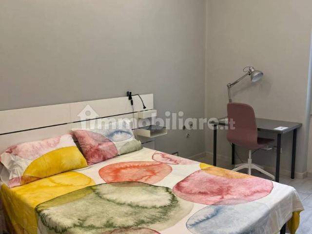 Stanza in affitto in appartamento via Ireneo Affò 4, Parma