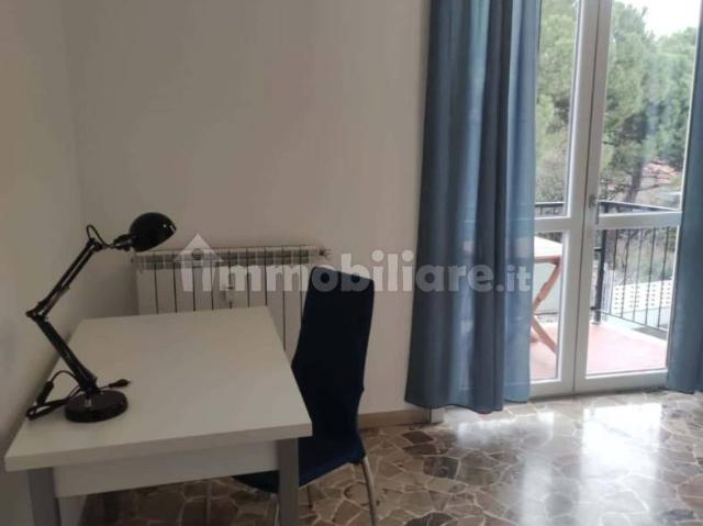 Stanza in affitto in appartamento via Trieste, Segrate