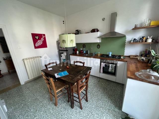 Stanza in affitto in appartamento viale Giovanni Pisano 27, Pisa