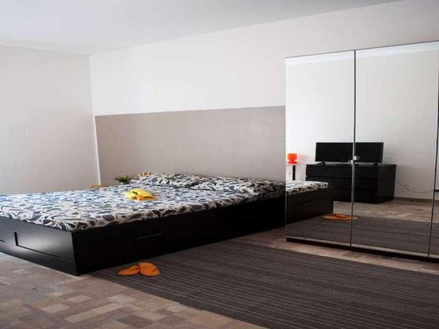 Stanza in appartamento condiviso con 9 camere da letto in Città Studi, Milano