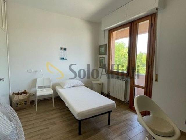 Stanza in appartamento in affitto a Pisa