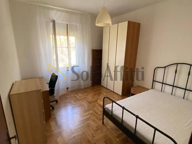 Stanza in appartamento in affitto a Pisa
