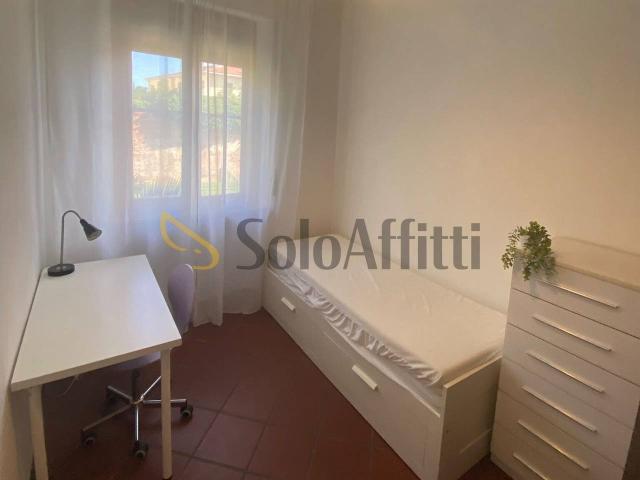 Stanza in appartamento in affitto a Pisa