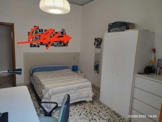 Stanza in appartamento in affitto a Siena
