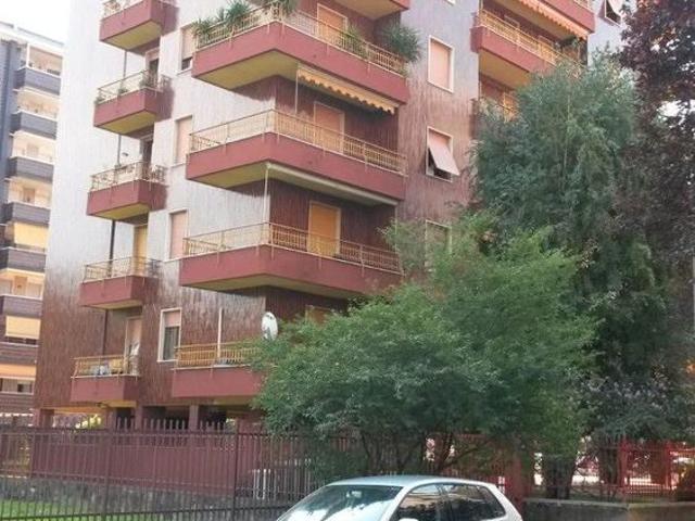 Stanza singol in appartamento appena ristrutturato