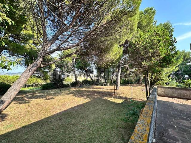 Stanza singola via Colle Ameno, Ancona