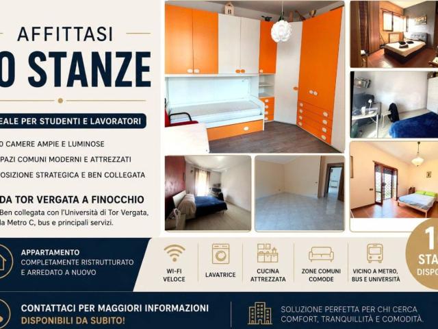 Stanza singola via di Tor Vergata 20A, Roma