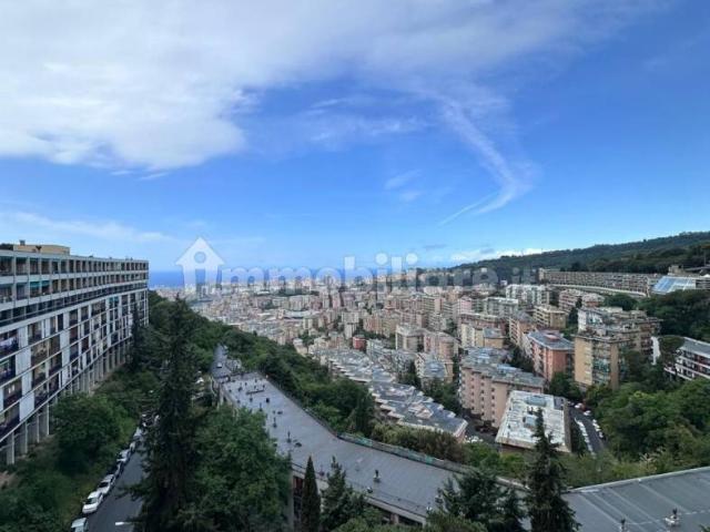 Stanza singola via Elio Modigliani, Genova