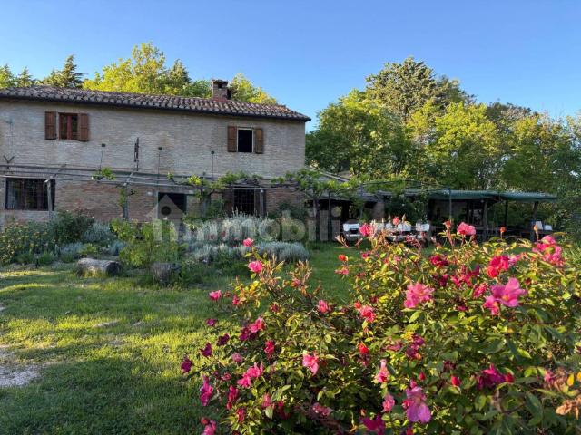Stanza singola via Rancitella 15, Urbino