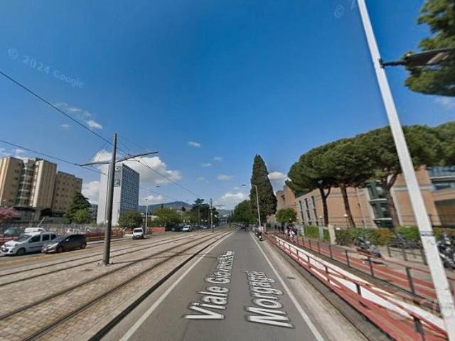 Stanza singola + due terrazzi zona Morgagni